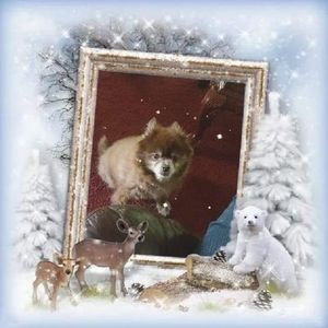 Meet your Posher, Sherry